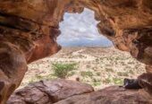 RockyRoad Tours