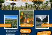 ADDIS ABABA: Hiking Tour to the Bale Mountains National Park