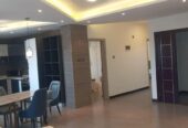 ADDIS ABABA; NEW fully furnished Apartment Ready for Rent