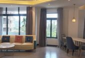 ADDIS ABABA; NEW fully furnished Apartment Ready for Rent