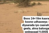 HARGEISA: Guri iib ah New Hargeisa