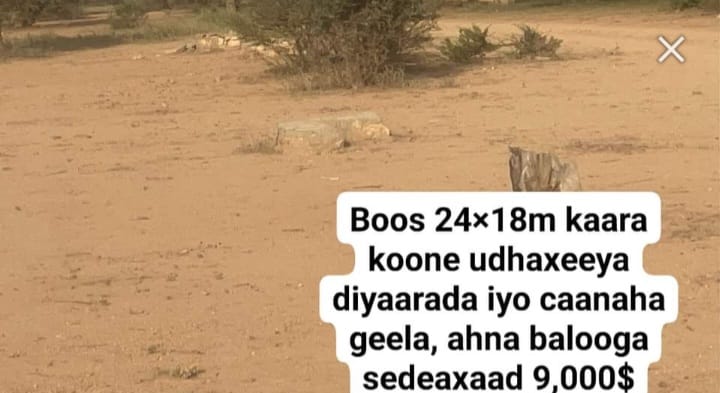 HARGEISA: Guri iib ah New Hargeisa