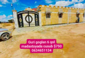 HARGEISA: Guri Goglan