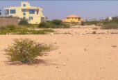 HARGEISA: Dhul iib ah