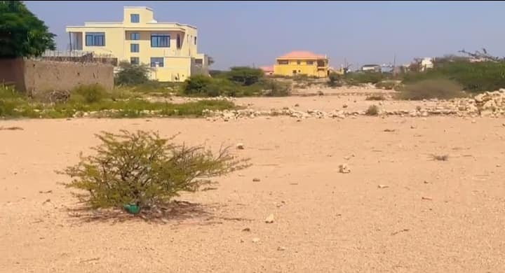 HARGEISA: Dhul iib ah