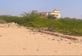 HARGEISA: Dhul iib ah