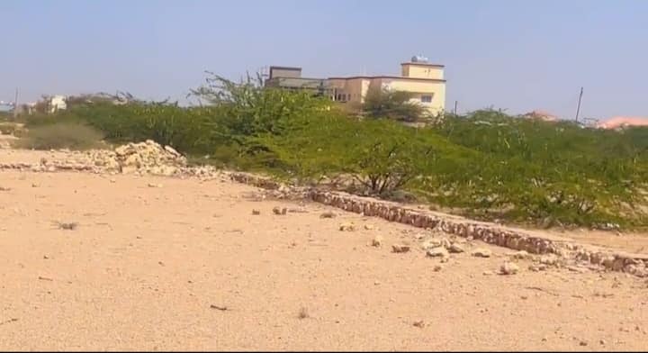 HARGEISA: Dhul iib ah