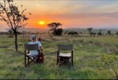 NAIROBI: Bruno Safaris and Tours.