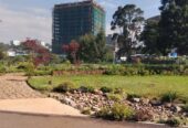 በማለቅ ላይ ያሉ አፓርትመንቶች እና የንግድ ሱቆች
