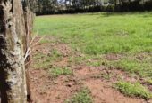 1/4 acre plot for sale at Sigona Valley Estate on Nairobi Nakuru highway, just before Tilisi-Limuru.