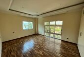 ADDIS ABABA: Greenly House for Rent