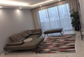 ADDIS ABABA: BRAND NEW Apartment Available for RENT close to DEMBEL