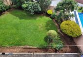 ADDIS ABABA: Apartment For Rent