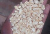 NAIROBI: Animal Feeds For sale