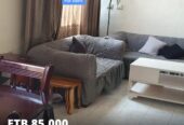 ADDIS ABABA: Furnished House for Rent