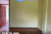 ADDIS ABABA: Apartment For Rent
