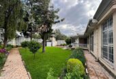 ADDIS ABABA: Garden Paradise well kept Furnished.