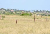 Prime plots for sale inJujabfr sale 750k