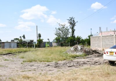 inbound3530196943832940607