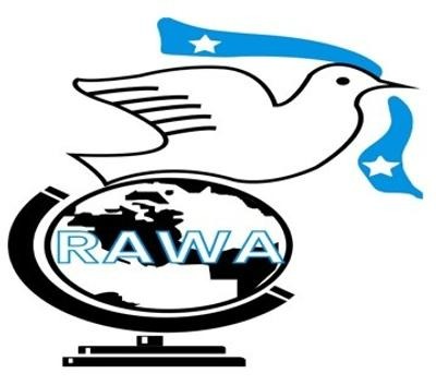 Logistic Project Manager