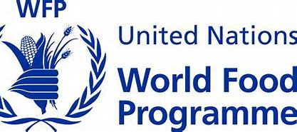 MOGADISHU: Budget and Programming officer